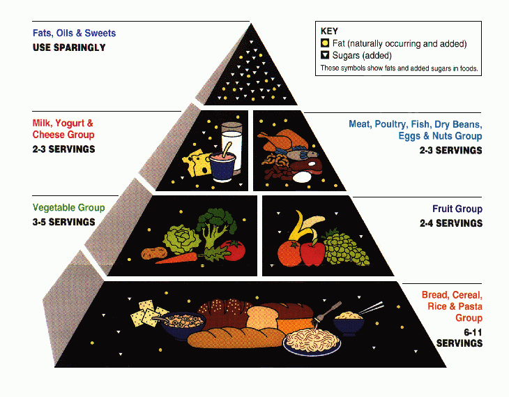 In 2011, the USDA Food Pyramid